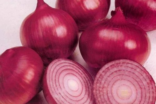 Kraken istand onion